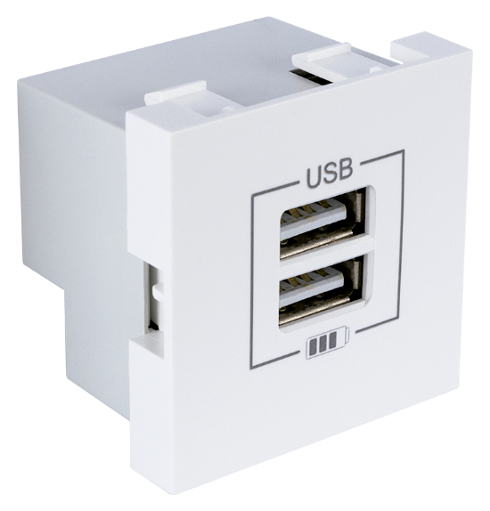 Double Chargeur Frontal USB Type A - 2 Modules